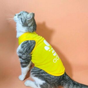 Chaleco Estilo Deportivo adidog