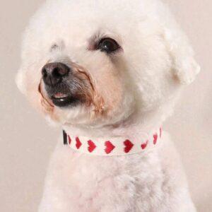 Collar ligero de corazones ,