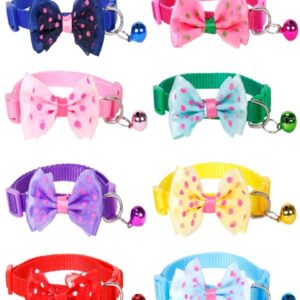 Collar de lazo para mascotas