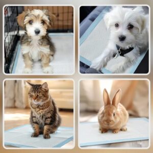 Empapadores / acostumbradores para mascotas 5pcs / 4pcs