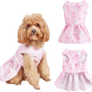 Vestido Rosado de Pascua