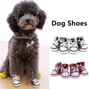 ZAPATO converse para mascotas